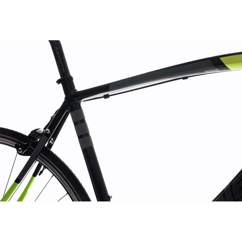 The Beam Frame Flash 2.0|BLACK RAINBOW