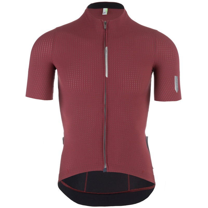 Maglia Q36.5 Pinstripe Pro – Rosso scuro