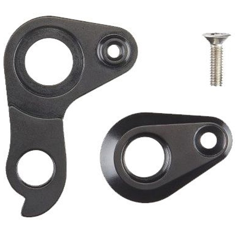 Forcellino Pinarello perno passante