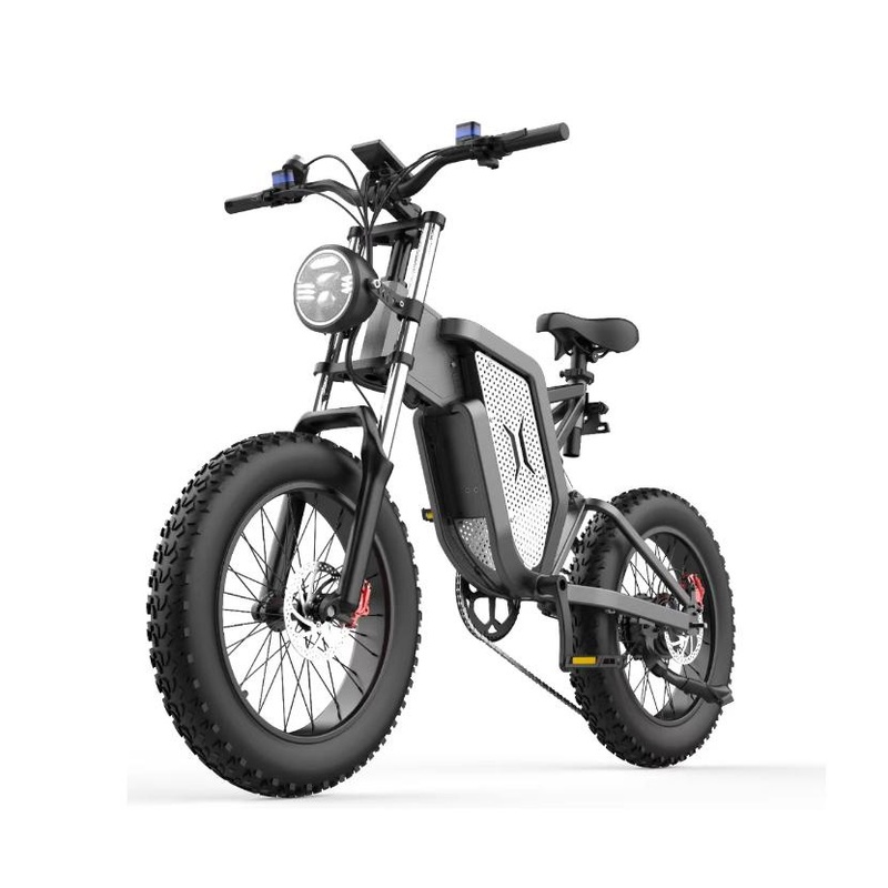 Maximum Climbing Angle 15 Electric Motorbike with 48V/20ha Electric Bicycle